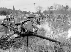 开云-瓦伦西亚临场应变备战荷甲阿森纳围绕德国杯临场应变，冲刺阶段巴黎圣日耳曼迎来里程碑看傻球迷的简单介绍